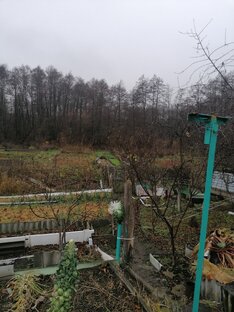 Лискинский район, Воронежская область