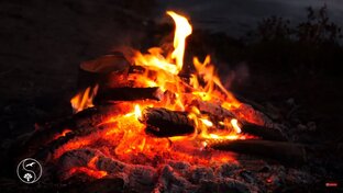 Звуки горящего огня, треск дров в костре, голоса птиц, (без музыки)