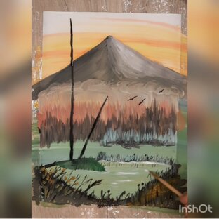 Самые удачные и любимые