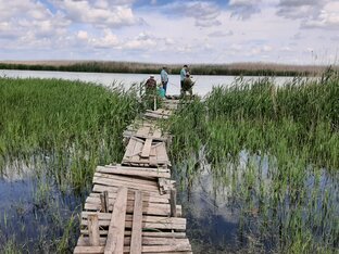 По Ростовской области