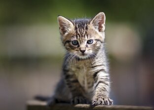 реклама каналов