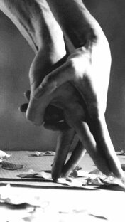 мед и поцелуи проза 