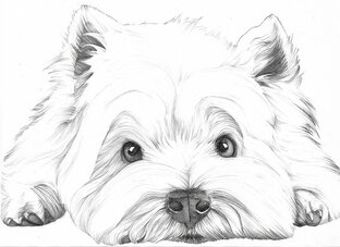 Дневник пса Тобика