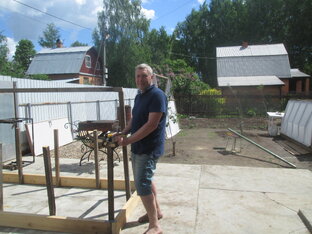 Кошки на даче.