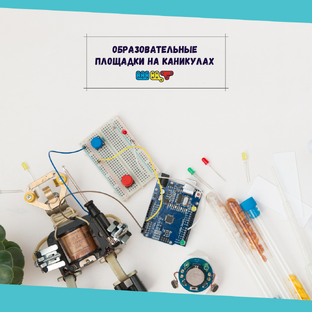 Площадки в августе