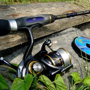 Мои удилища