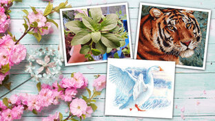 Вышивально-рукодельные недели