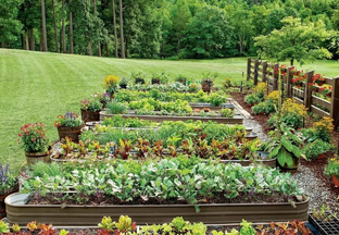 барышня-крестьянка"