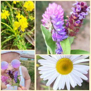 С позитивом обо всём