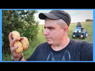 Сельские будни