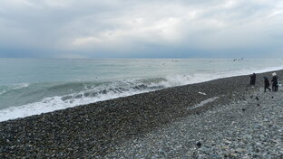 КВАНТОВАЯ ФИЗИКА