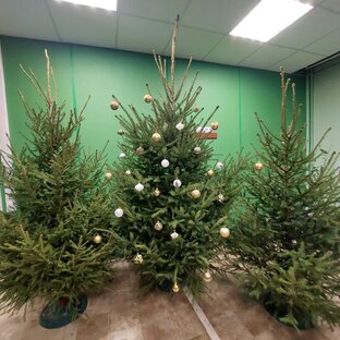 Новый год 2023