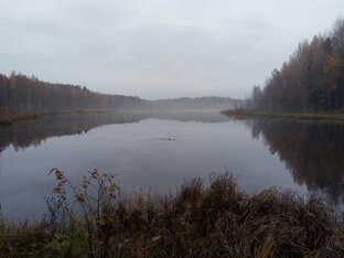 Природа и Родина