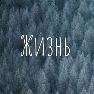 Жизнь