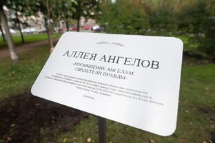 Мои стихи