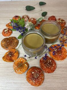 Из трав Лесного Царства я делаю лекарства