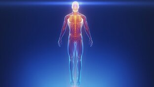 Очищение организма