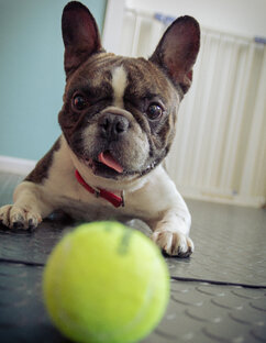 Истории из жизни