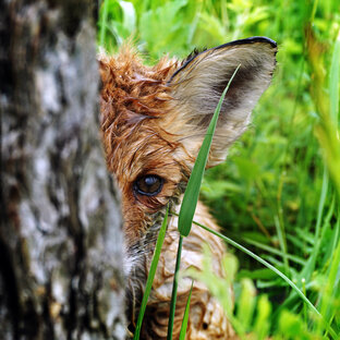 Мистика и реальность...