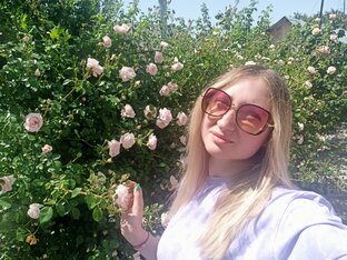 обзор питомника саженцев роз