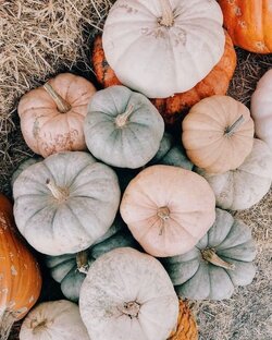 Осенние рецепты  