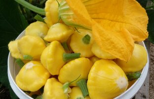 ЗАГОТОВКИ НА ЗИМУ! МОИ ПРОВЕРЕННЫЕ ГОДАМИ РЕЦЕПТЫ!