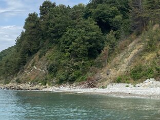 Путешествия