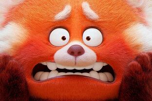 Мультфильмы 