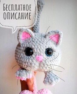 Котики
