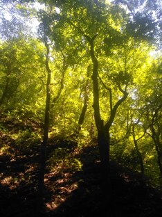 Путешествия 