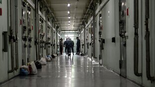 История от суда до освобождения.