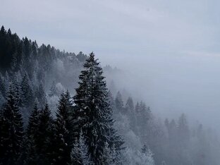 Золотая коллекция