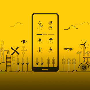 Agritech или Smart Farm