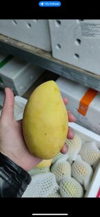 Манго Хоа лок 