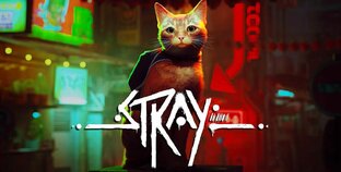 STRAY Прохождение