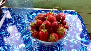 Работа с растениями