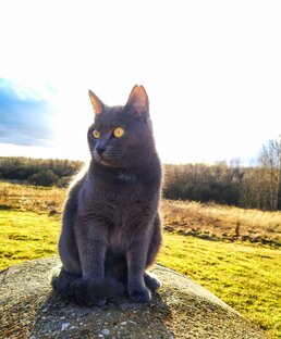 Личный опыт, советы