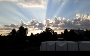 Дача 2022 год