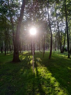 Путешествия во времени.