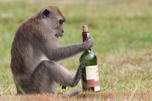 Состояние расслабления  