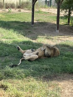 Добрые новости)