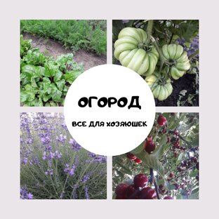 Огород