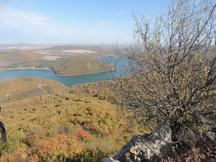 Загадки прошлого