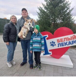 Наши предложения 