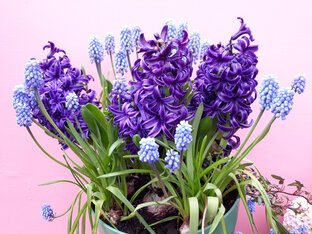 Работы и мое вдохновение