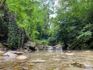 Советы туристам и любителям тихой охоты