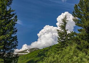 Мои печатные фотоальбомы