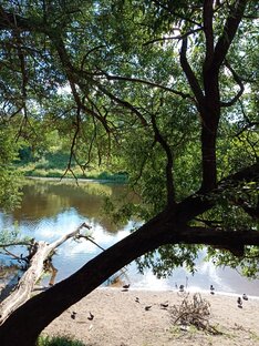 Рассказы о деревне