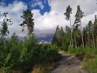 Интервью Марины Поповой, Иркутск