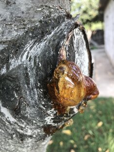 Прозаические миниатюры